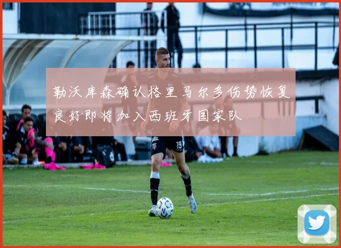 勒沃库森确认格里马尔多伤势恢复良好即将加入西班牙国家队